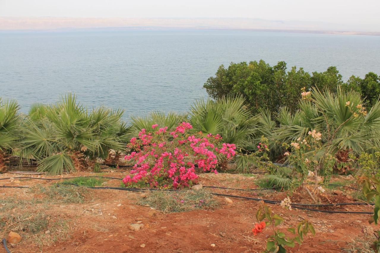 Samarah Dead Sea Resort Studio-Cp6 Traveler Award 2025 Winner Thursday, Friday And Saturday Groups Consisting Solely Of Male Guests Are Not Permitted Sweimeh Exterior photo
